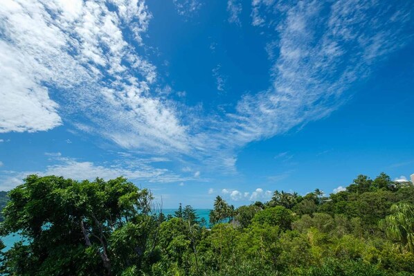 A tropical landscape with dense green foliage and a clear blue sky with scattered clouds.