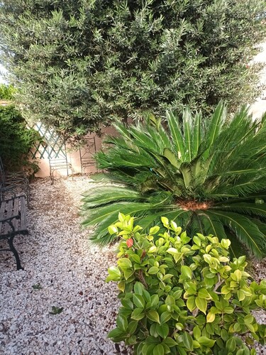 Villa 6 personnes avec piscine privée