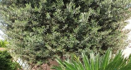 Villa 6 personnes avec piscine privée