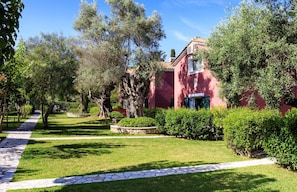 Stroll through a serene garden with a well-manicured lawn and a variety of trees and shrubs.