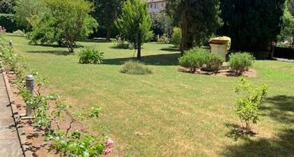 Appartement F1 Amélie-les-Bains avec balcon et animaux admis