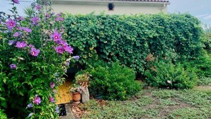 Ein Haus mit Ziegeldach, einem kleinen Fenster und einem Garten mit violetten Blumen und Grünpflanzen.