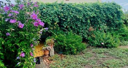 Casa de vacaciones F3 con jardín y terraza en el centro de Céret, aire acondicionado, mascotas bienvenidas