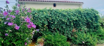 Holiday Home with Garden in the Heart of Céret