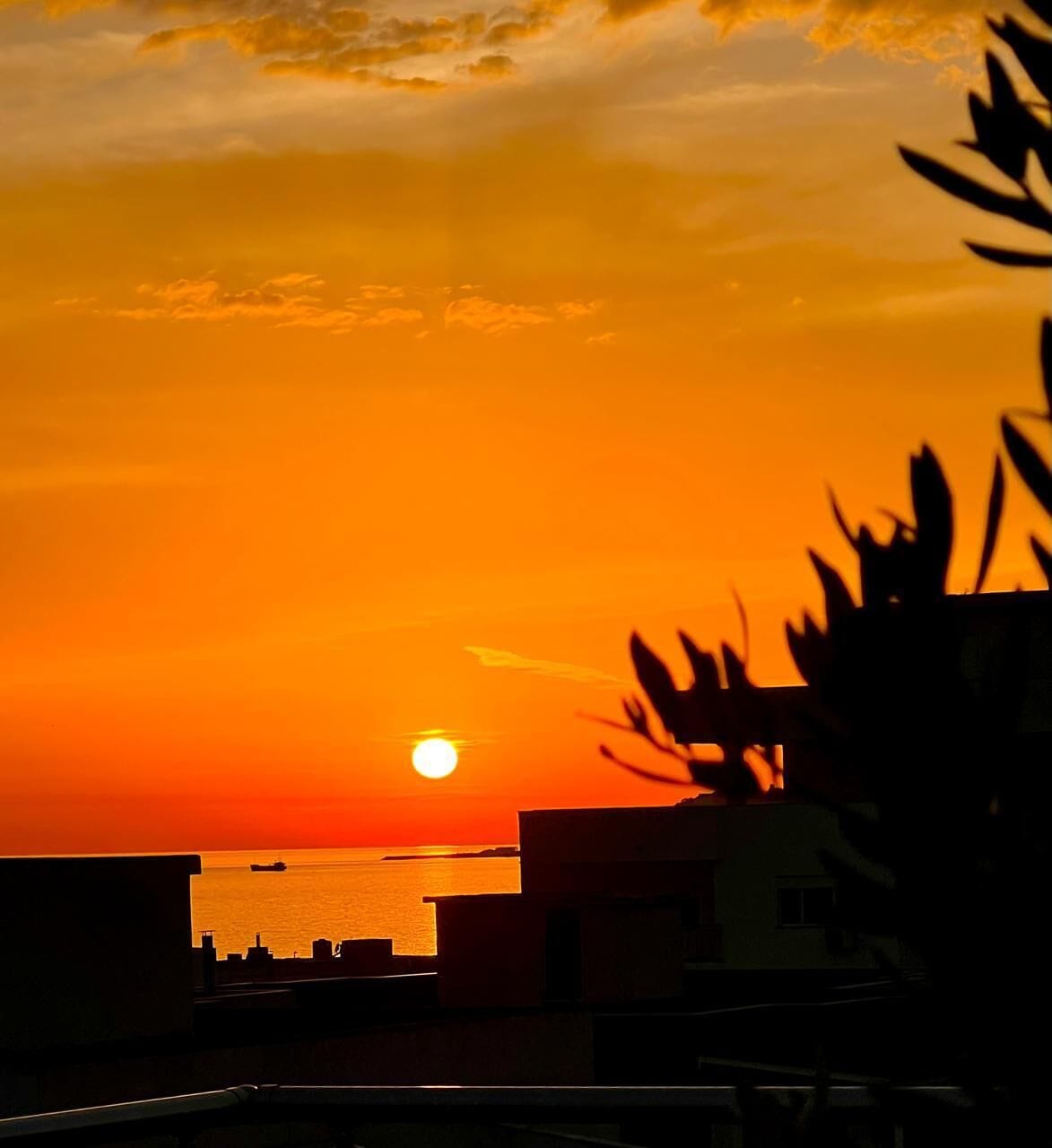 Photo - Padel Olivia's Hill Resort