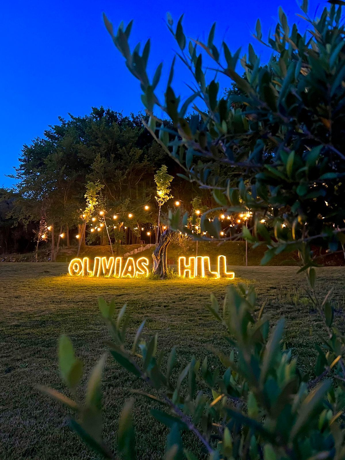 Olivia's Hill Resort Albania - photo 7