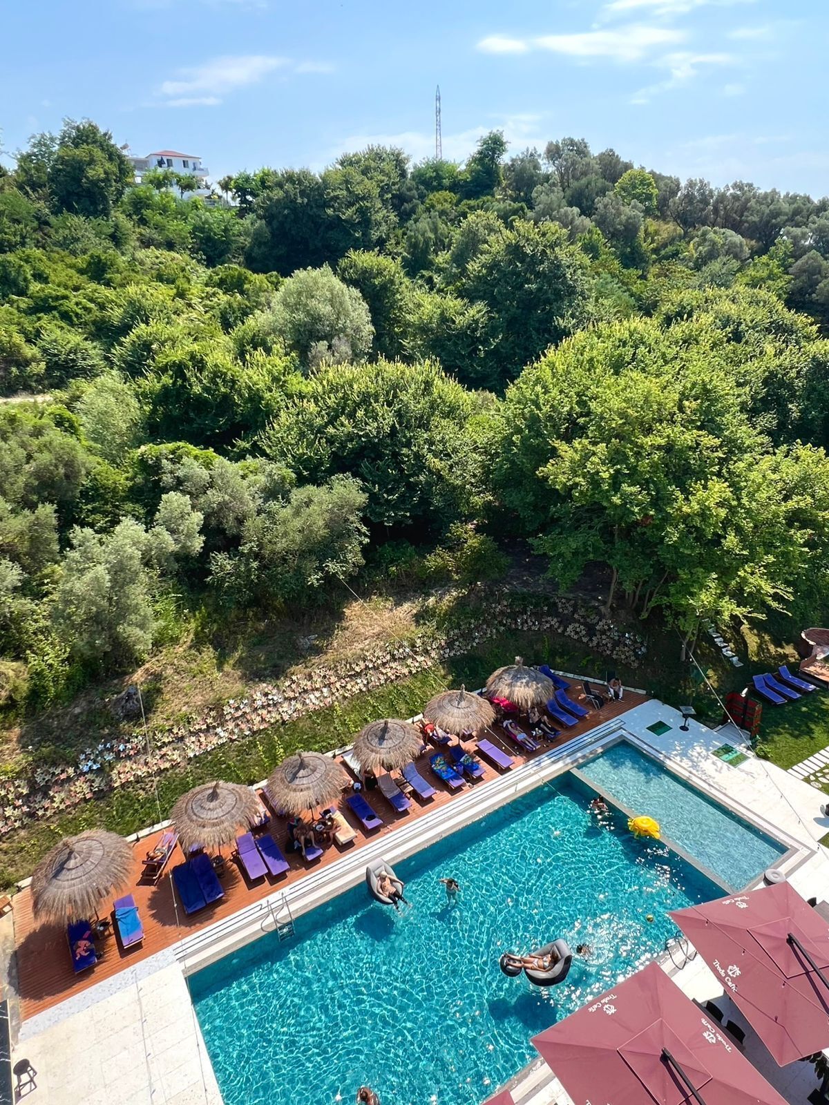 Une piscine sur le toit, agrémentée de chaises longues et de parasols, entourée d’une végétation luxuriante et d’arbres.