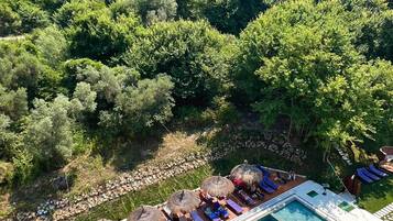 Une piscine sur le toit, agrémentée de chaises longues et de parasols, entourée d’une végétation luxuriante et d’arbres.