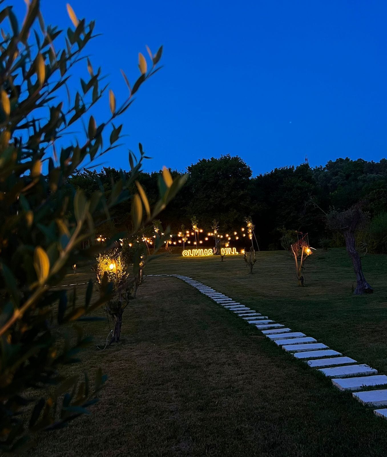 Photo - Padel Olivia's Hill Resort