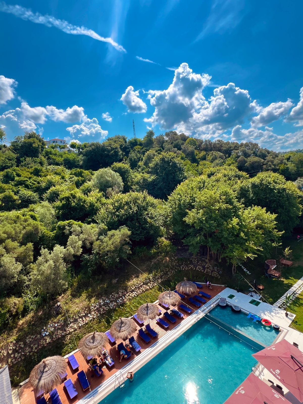 Zona junto a la piscina con sillones de descanso y sombrillas, rodeada de vegetación exuberante y un cielo azul despejado.