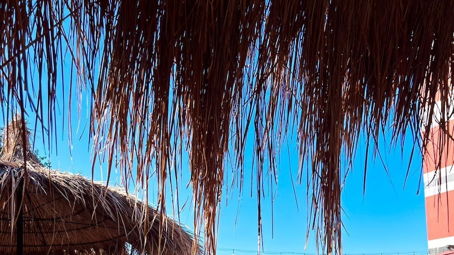 Olivia's Hill Resort