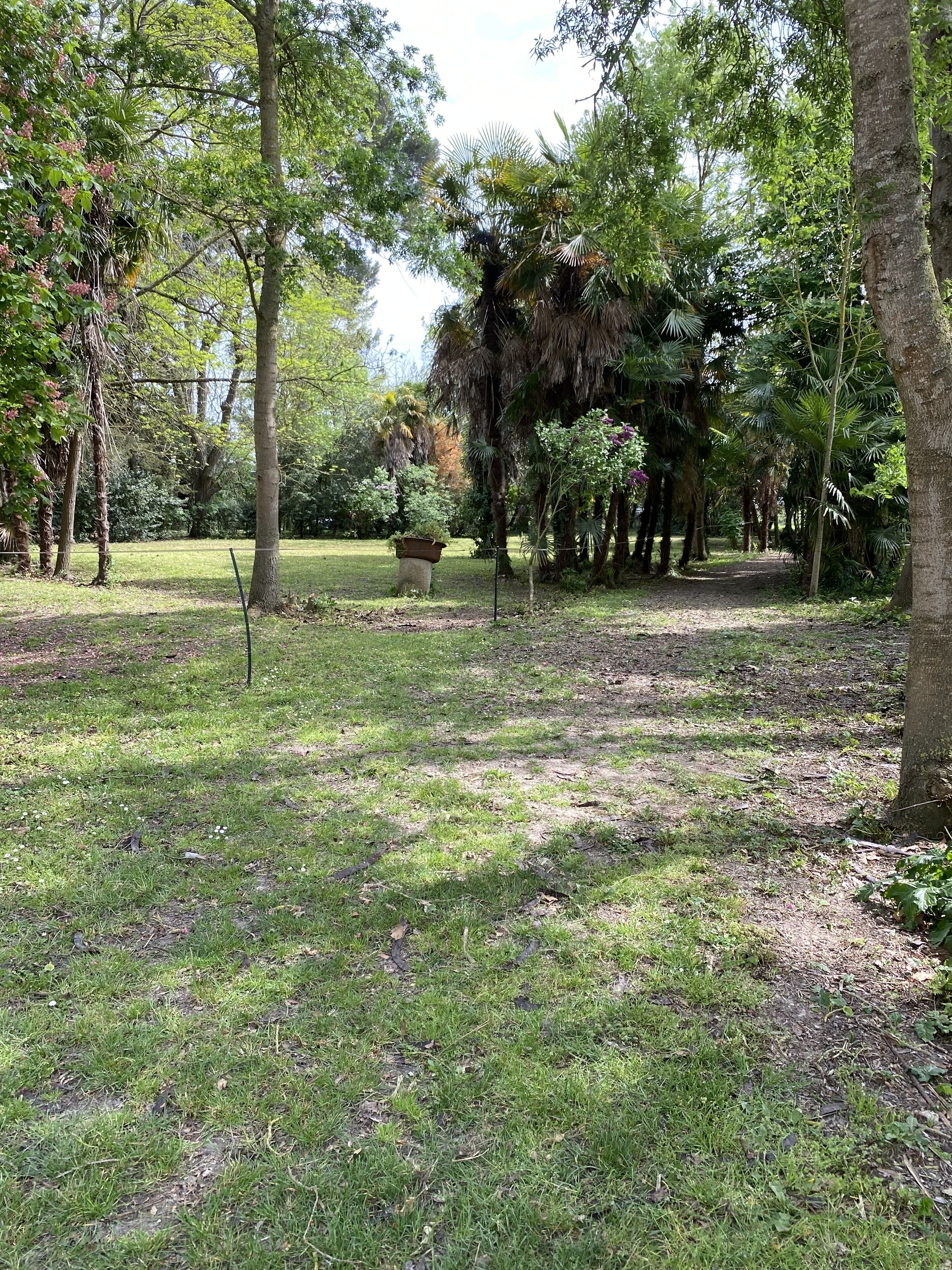 Un parque con un sendero de tierra, árboles y una jardinera con plantas.