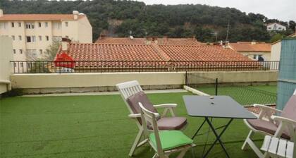 Studio climatisé avec balcon, centre-ville, proche cures - 2 pers, animaux ok