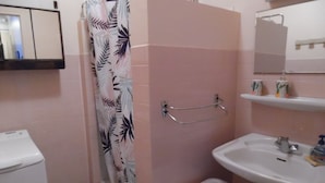 Un baño pequeño con ducha, lavabo y espejo.