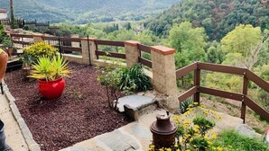 A garden with a wooden fence, potted plants, and a view of mountains.