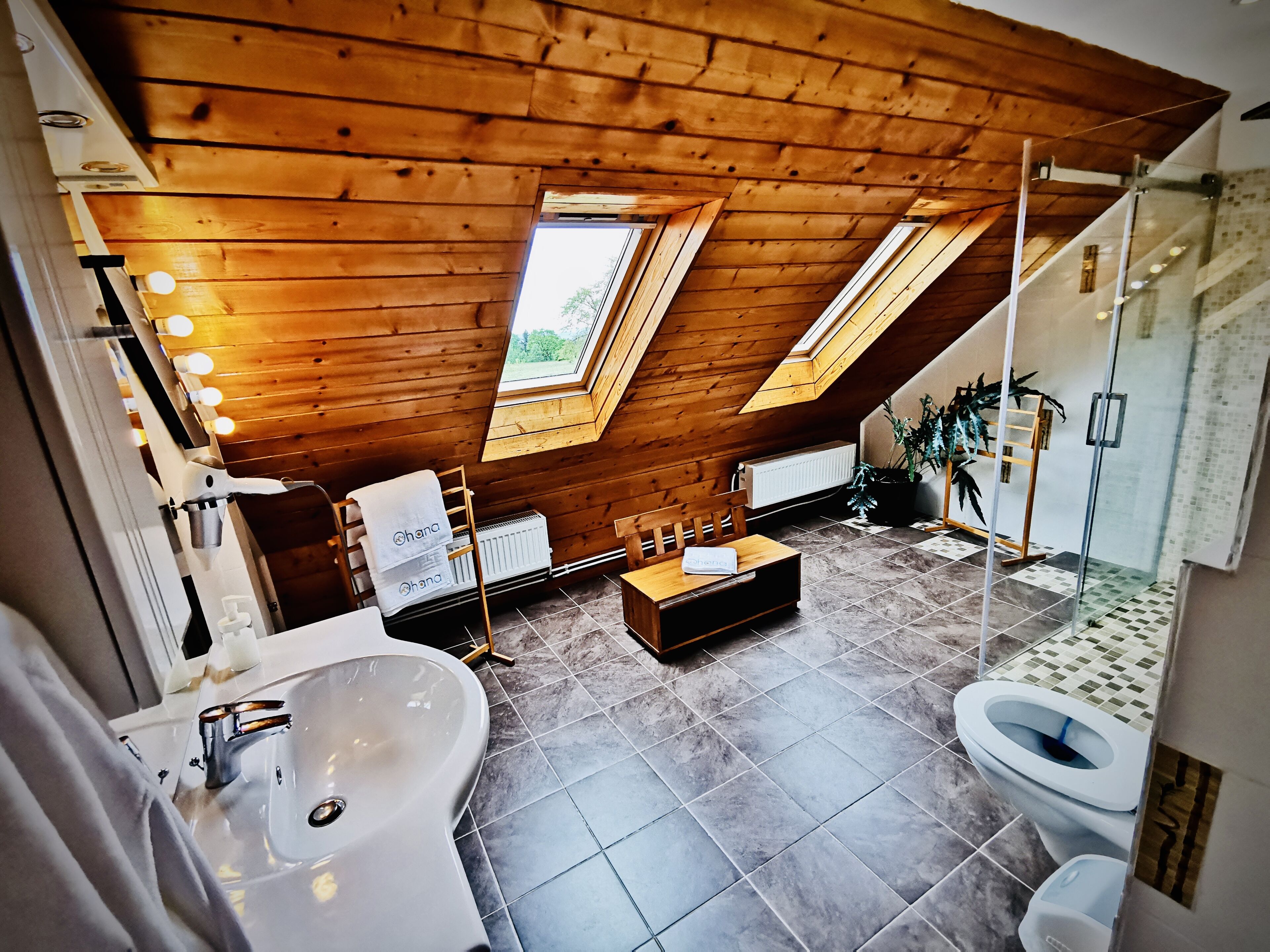 Familie vierpersoonskamer | Badkamer | Designer toiletartikelen, een haardroger, zeep, shampoo