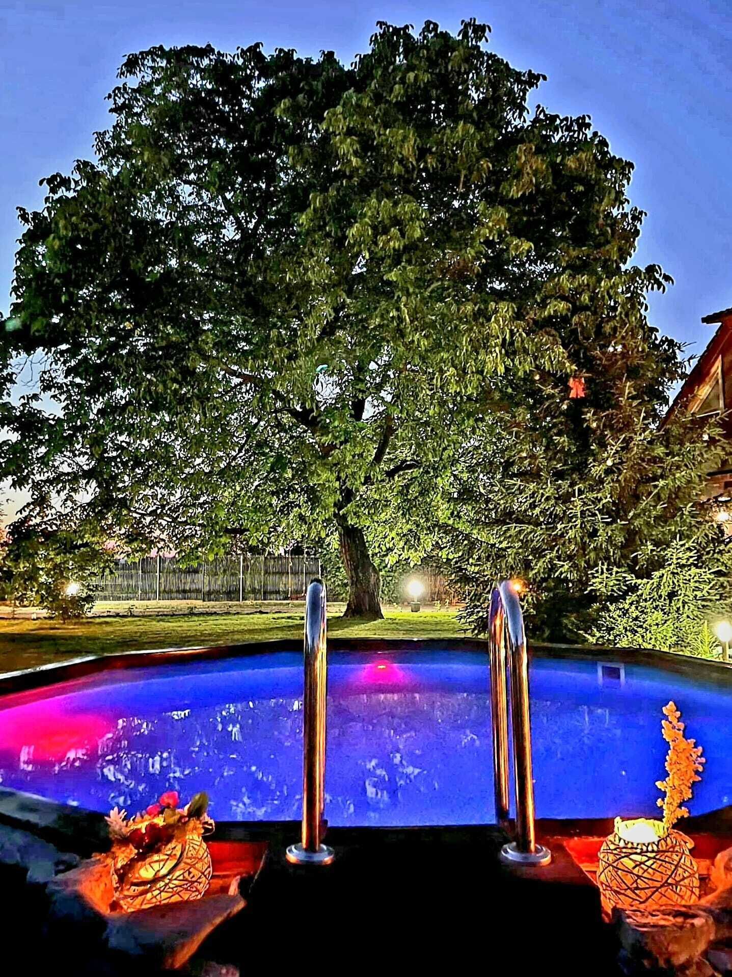 A swimming pool with a tree in the background and two metal ladders.