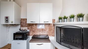 Kühlschrank, Mikrowelle, Herdplatte, Kochgeschirr/Geschirr/Besteck