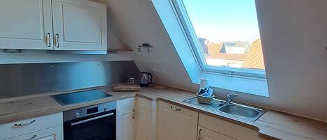 Frigorífico, microondas, horno y placa de cocina