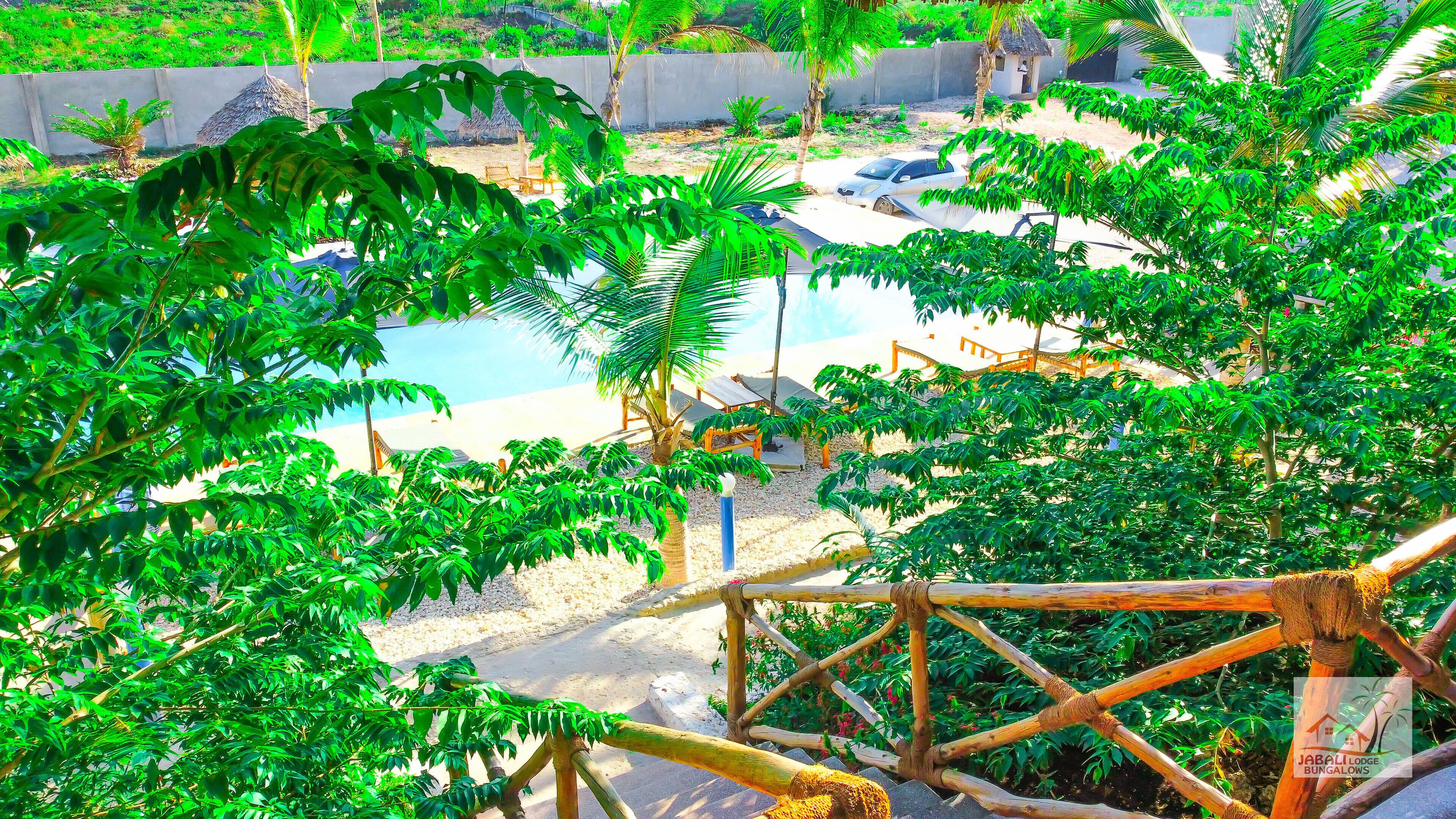 Un espace piscine doté de chaises longues, entouré d’une végétation luxuriante et d’une terrasse en bois.