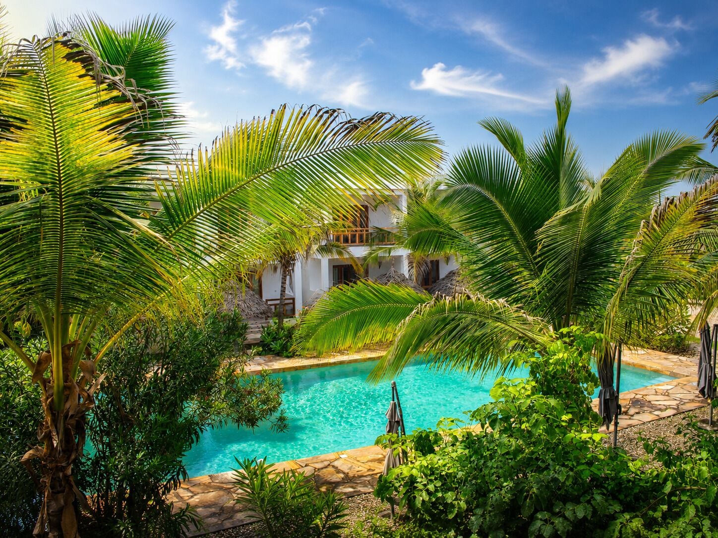 Outdoor pool, pool umbrellas, sun loungers