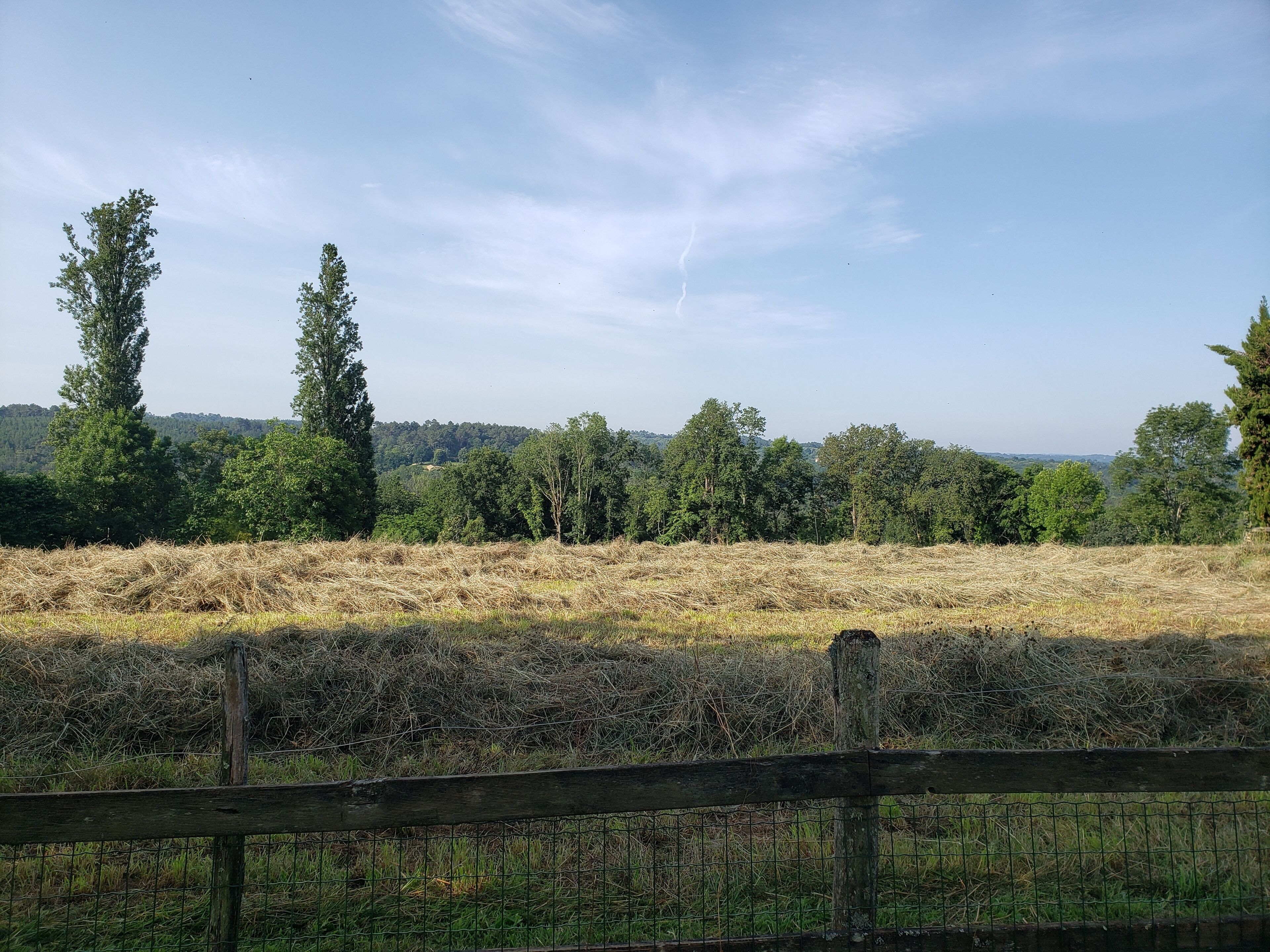 A rural landscape with a field of hay, a wooden fence, and trees in the background.