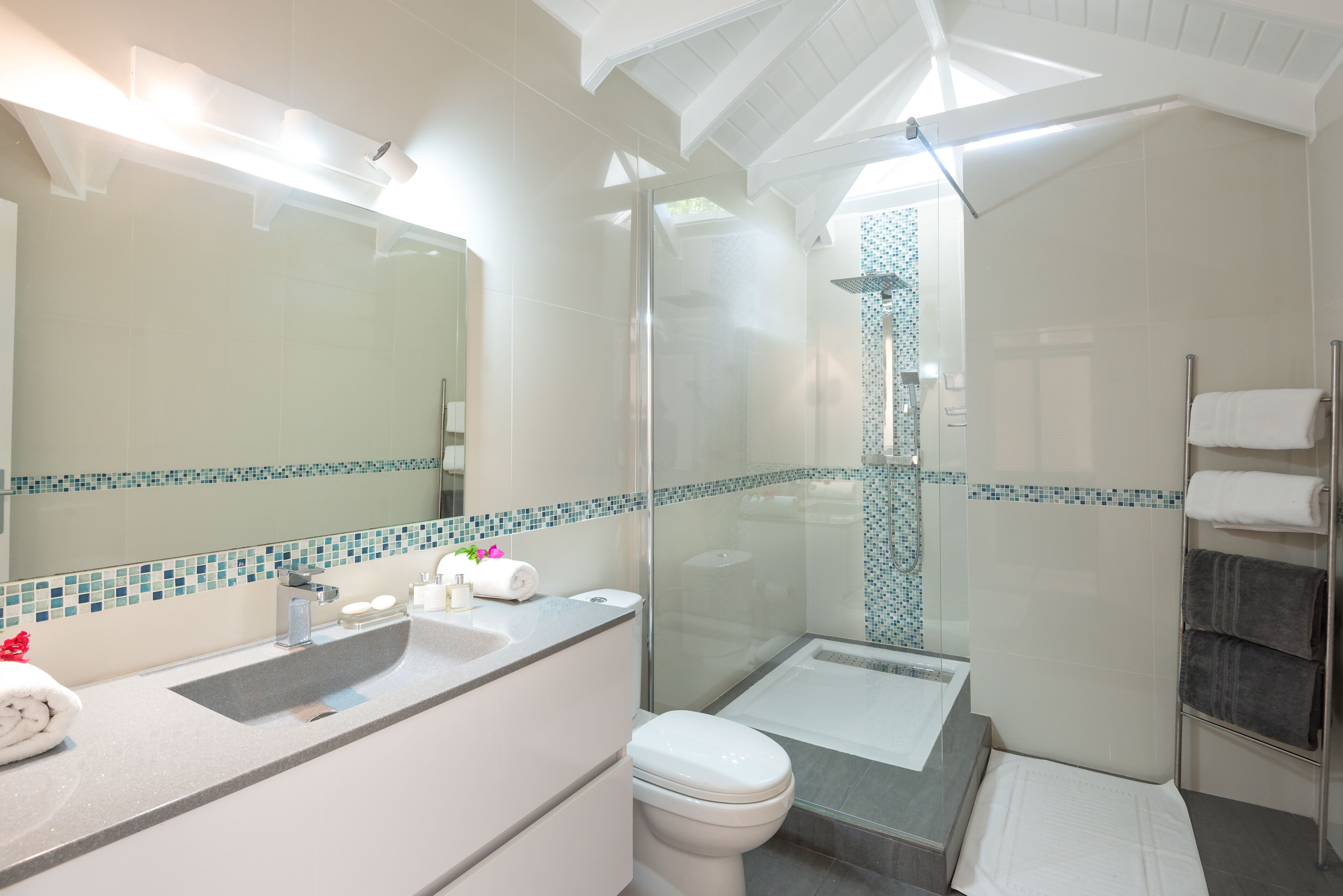 Une salle de bain moderne avec une douche à parois de verre, un lavabo blanc et un grand miroir.
