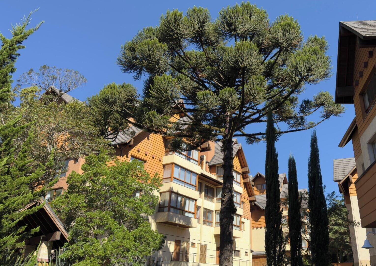 Apartamento | Fachada