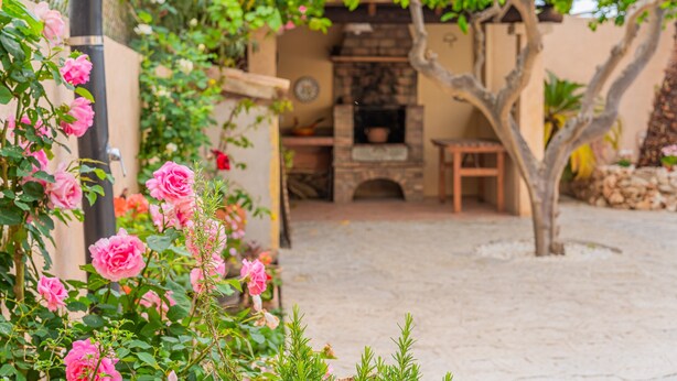 Un jardin agrémenté de rosiers roses, un four en pierre et un espace de détente extérieur de style rustique.