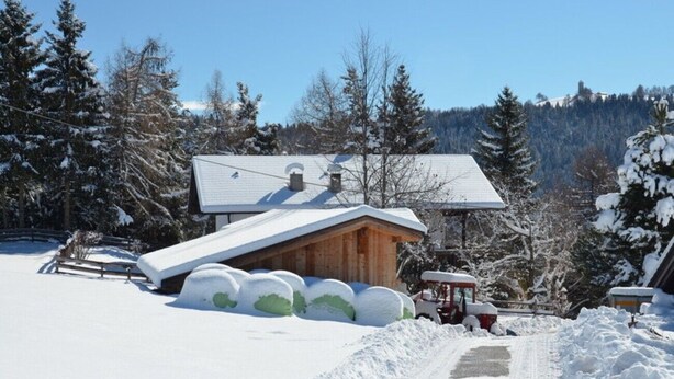 A wooden cabin with a sloped roof, surrounded by snow-covered trees and a clear sky. - Farmhouse 'Bauernhof Oberkapillhof 2' with Mountain View, Shared Garden and Wi-Fi (Meltina)