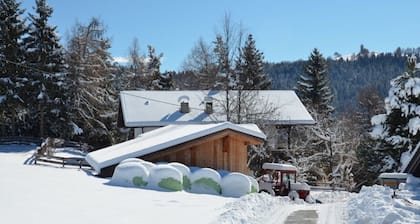 Farmhouse 'Bauernhof Oberkapillhof 2' with Mountain View, Shared Garden and Wi-Fi