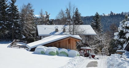 Landhaus "Bauernhof Oberkapillhof 3" mit Bergblick, Gemeinschaftsgarten und WLAN