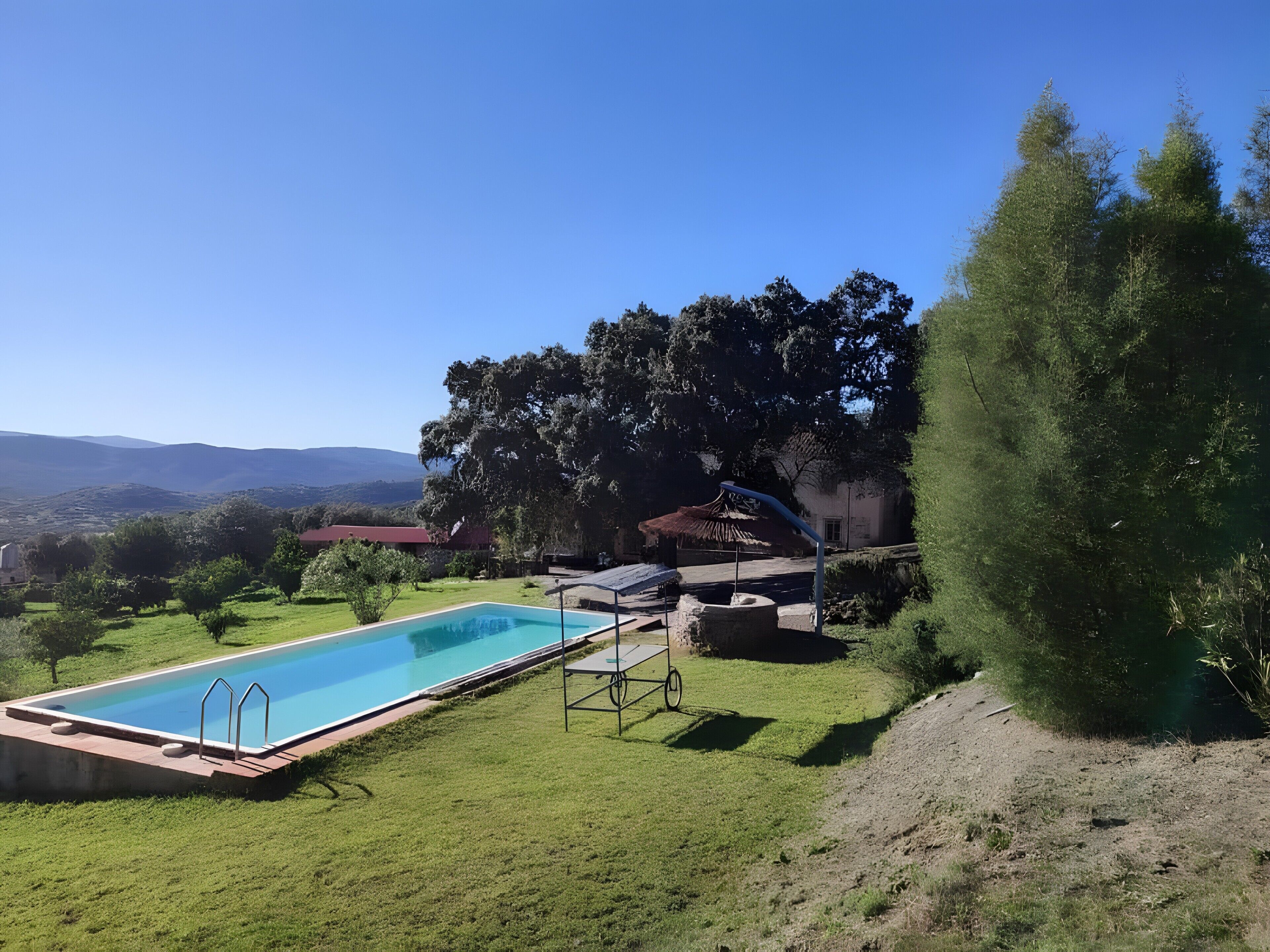 A swimming pool with a view of hills, a thatched-roof building, and a large tree.