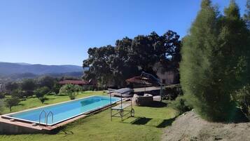 A swimming pool with a view of hills, a thatched-roof building, and a large tree.