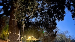 A stone pathway leading to a gazebo with string lights, a swing, and a pool area. - Country House El Rincón with Mountain Views, Private Pool and 2 Terraces (Arroyomolinos de León)