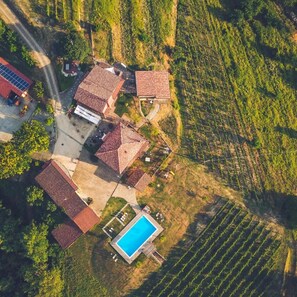 An aerial view of a residential area with multiple houses, a swimming pool, and vineyard fields.
