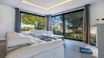 TV, DVD player, ping pong