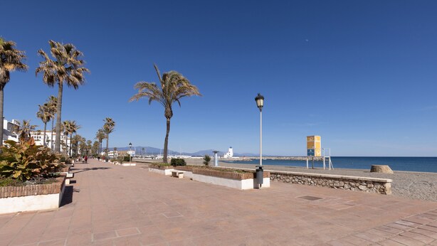 Un paseo marítimo empedrado con palmeras, un farol y vista al mar.