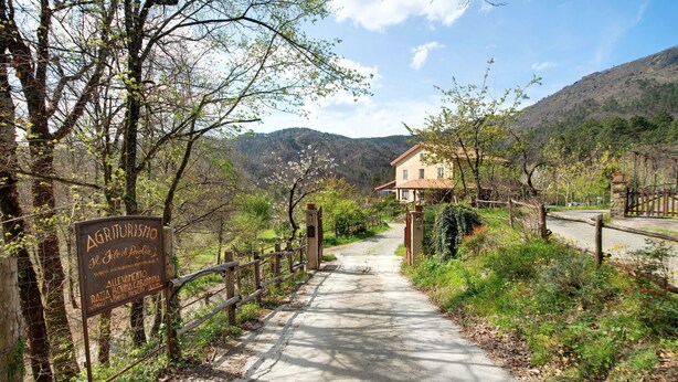 A rural road leading to a house with a sign indicating 'Agriturismo' and 'Allevamento' services.