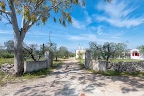 A rural road leading to a building with a stone wall and a tree on the left.