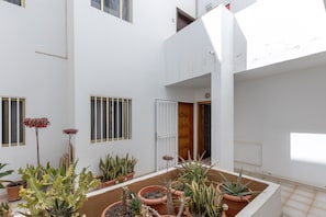 Une cour avec des plantes en pot, un bâtiment blanc aux fenêtres grillagées et une porte.