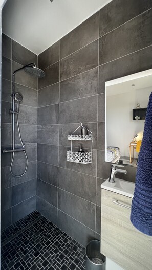 Shower, towels, toilet paper