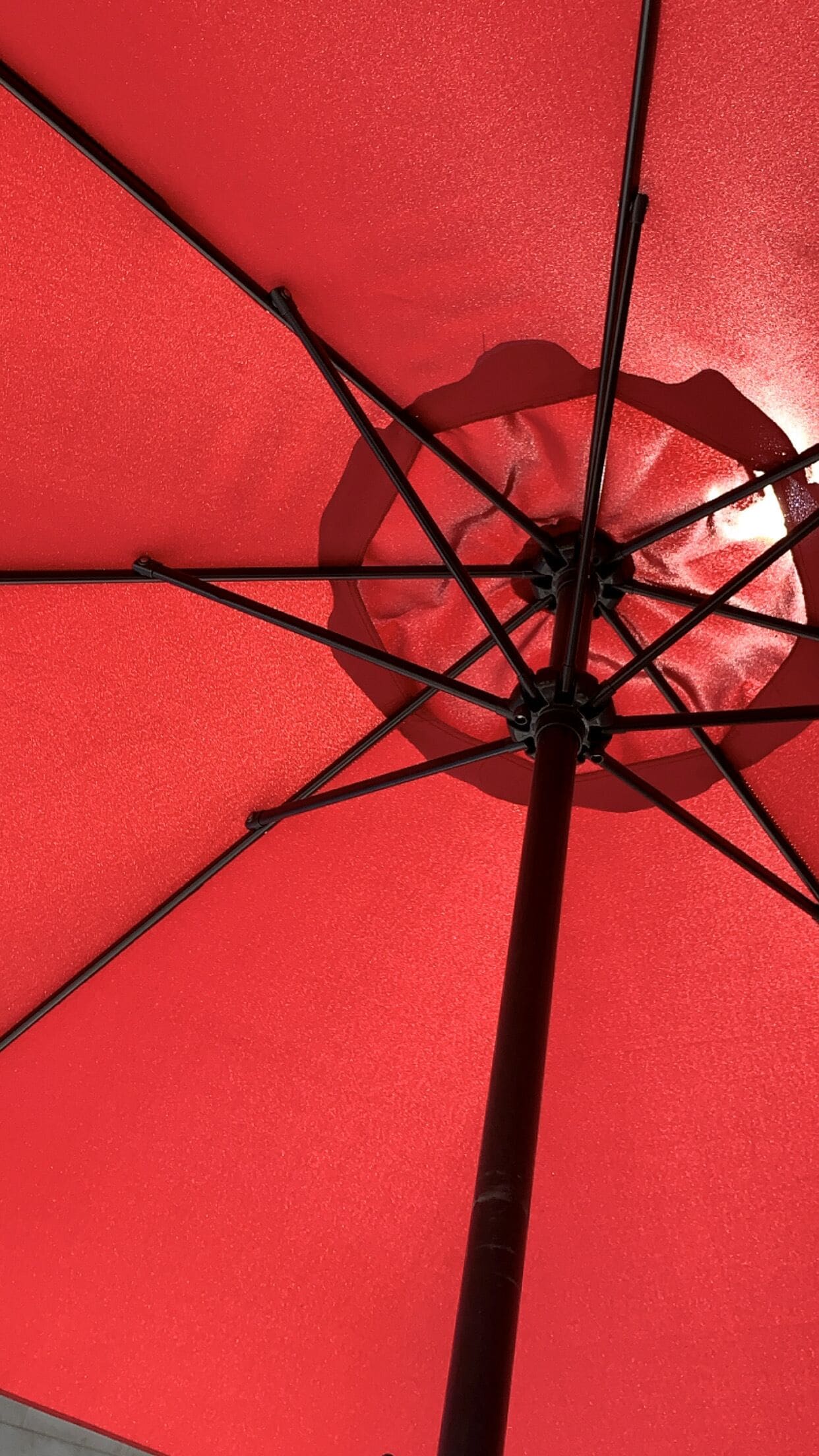 seasonal outdoor pool, pool umbrellas