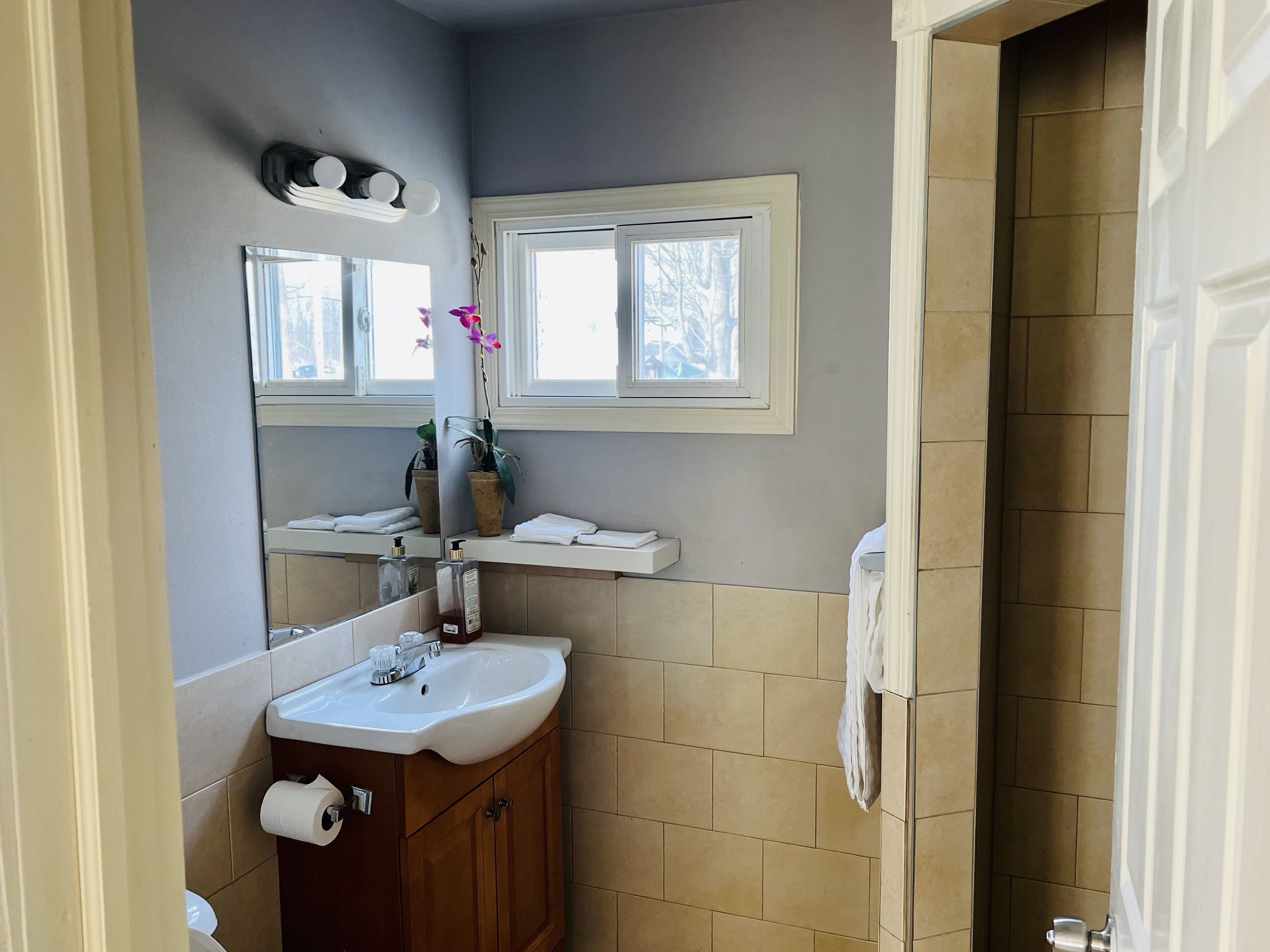 Douche, séchoir à cheveux, serviettes fournies, savon