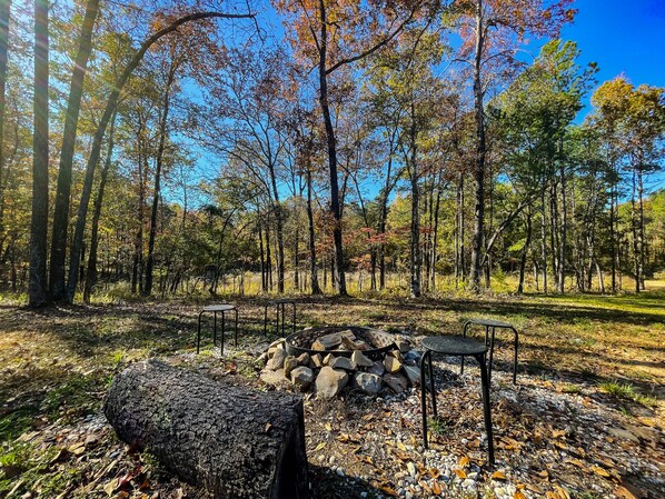 A forest with a fire pit and seating area.