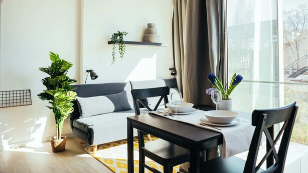 A modern living room with a sofa, dining table, chairs, a potted plant, and a window with curtains.