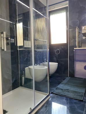 Shower, hair dryer, bidet, towels
