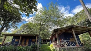 Eine rustikale Holzhütte mit Steinunterbau und Holzbalken, umgeben von üppigem Grün und Bäumen.
