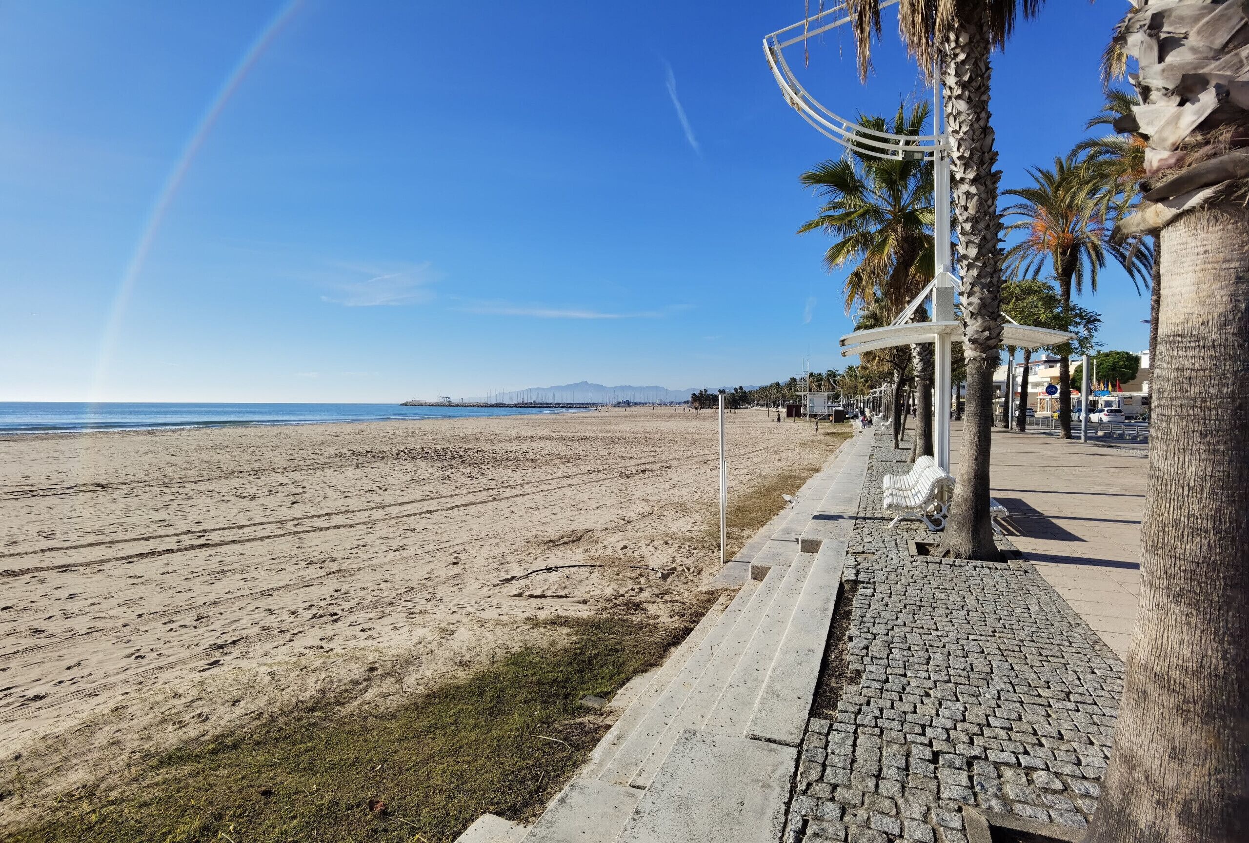 A beach with a clear sky, palm trees, and a paved walkway with benches.