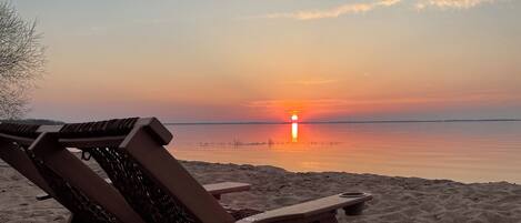 Plage à proximité, chaises longues, serviettes de plage